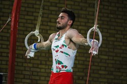 ژیمناست ایران سوم آسیا شد/ سیاهی مدال برنز گرفت