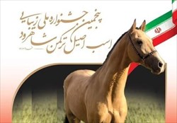 برگزاری پنجمین جشنواره اسب اصیل ترکمن در میغان