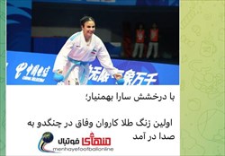 خانم محمدیان مدال بهمنیار در بخش کومیته است نه کاتا
