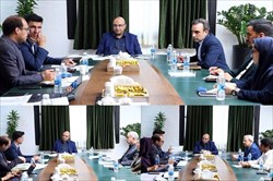نشست تخصصی کمیته ملی المپیک با ۳ فدراسیون