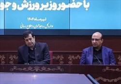 اعتراف به کم‌کاری