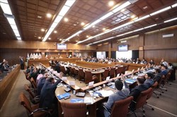 معرفی ۶ کاندیدای تائید صلاحیت شده سوارکاری/ رئیس ۸ ساله تائید نشد!